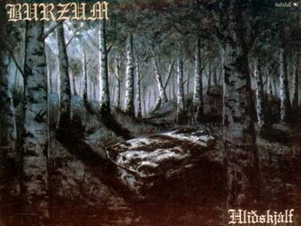 Burzum Bandswallpaper Wallpaper Music Desktop