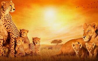 African American Dance Desktop Wallpaper