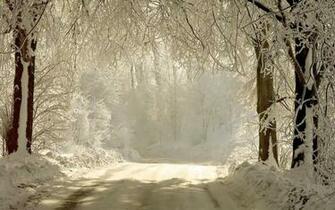 HD Pure White Wallpaper