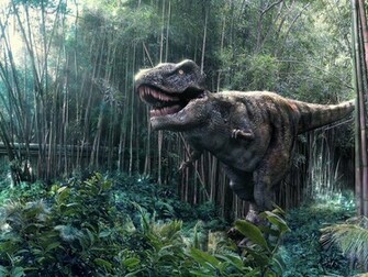 Jurassic Park Wallpaper And Background