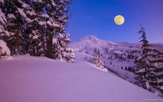 Snow Scenes Wallpaper Grasscloth