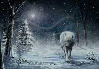 Lone Wolf Wallpaper