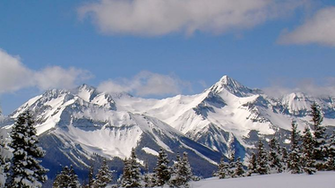 Amazon Winter Wonderland Snowy Background Scenes For Your