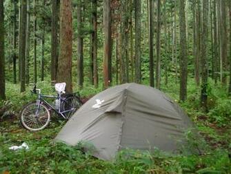 Camping In The Forest Wallpaper