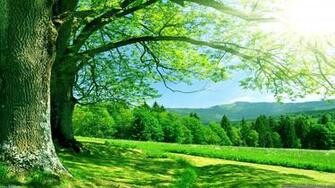 Nature HD Wallpaper For Desktop Wallpaper13