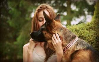 German Shepherd Desktop Wallpaper High Definition