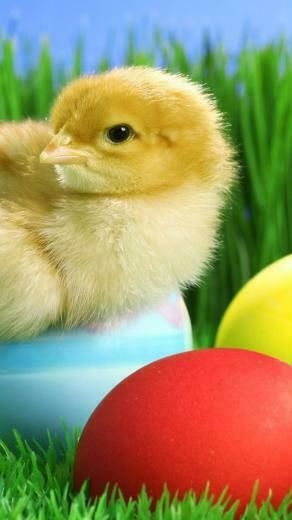 Happy Easter Loreak Eta Naturaren Irudiak