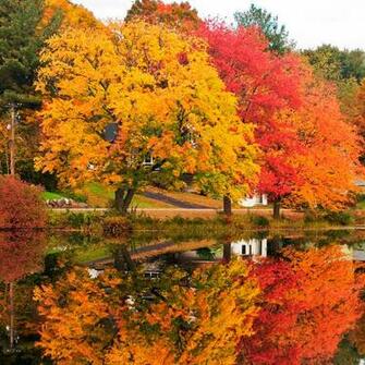 iPad Wallpaper Pack Of Wod December Late Autumn