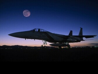 Hornet Wallpaper X