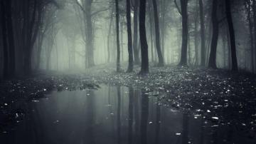 Gloomy Wallpaper