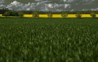 Live Screensavers Landscapes Mood