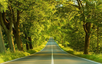 Full Screen HD Desktop Wallpaper