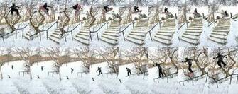 Jed Anderson S Inter From Our October Issue Transworld