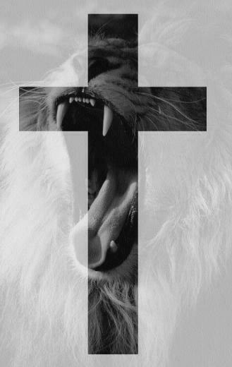 Can Feel The Rhythm Of Lion Tribe Judah Jesus Is