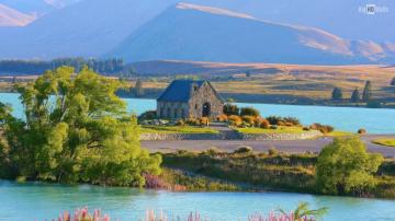 Lush Of Lake Tekapo In New Zealand HD Wallpaper