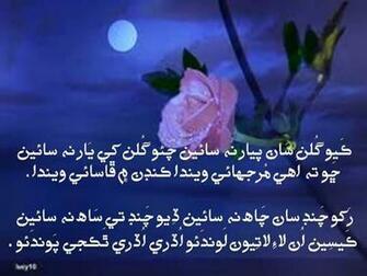 HD Wallpaper Hollywood Actress Sindhi Poetry Pictures