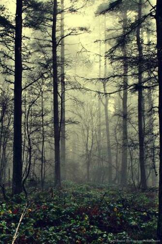 Submit Use Picky Wallpaper Rss