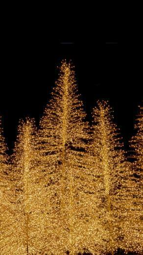 Christmas Tree Light iPhone Wallpaper HD
