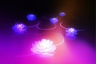 Techcredo Default Honeycomb Wallpaper Lotus