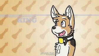Housepets Image King Wallpaper