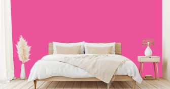 Are You Looking For Solid Pink Photo Wallpaper