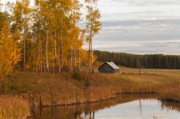 Wallpaper Landscape Forest Fall Lake Nature Reflection
