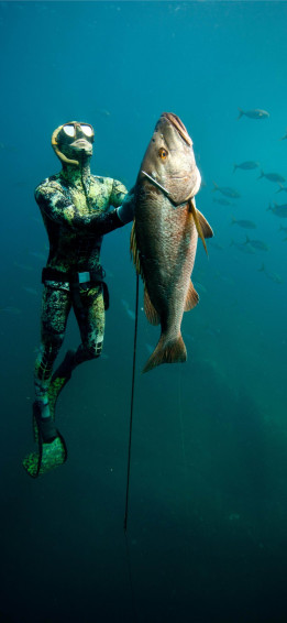 Fishing iPhone Wallpaper