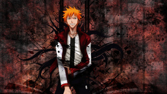 Anime Wallpaper HD Bleach