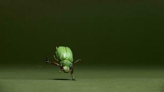 Wallpaperks Mind Blowing HD Wallpaper