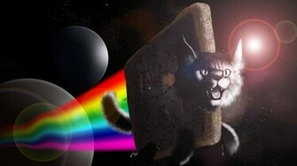 Business Cat Meme Wallpaper Background HD With Resolutions