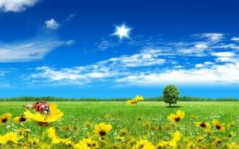 Amazing And Beautiful S Around The World HD Wallpaper For Android