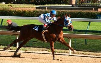 Secretariat Wallpaper Disney Movies