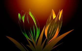Alienware Creator Wallpaper Picswallpaper
