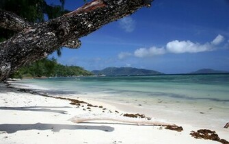 White Sand Beach Wallpaper
