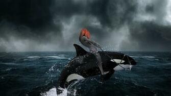 Killer Whale HD