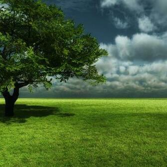 iPad Mini Wallpaper HD Retina Ready Stunning