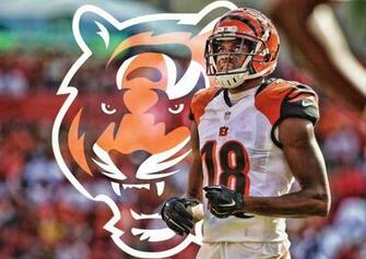 Aj Green Background Net