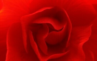 Pretty Red Background Vector