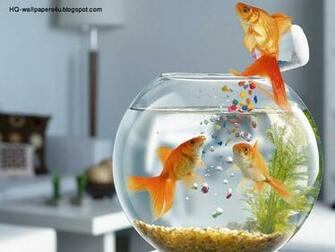 3d Wallpaper Aquarium Jpg Great
