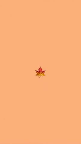 Cute Wallpaper Top Background
