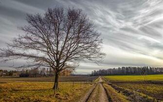 Country Road Wallpaper
