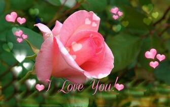 Valentines Day I Love You Wallpaper Full Desktop Background