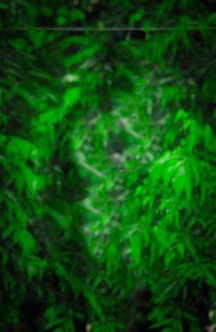 New Natural Background For Photo Editing Tutorial Photoshop Cc