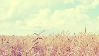 Hipster Desktop Wallpaper