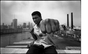Unseen Mohammed Ali Stunning Wallpaper Entertainment World
