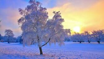 Winter Sunset HD Wallpaper For iPhone