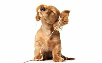 Funny Image For Android Tablet Pc Asus Eee Pad