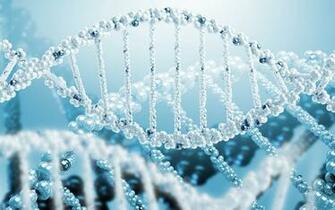 Dna Wallpaper HD Desktop Background