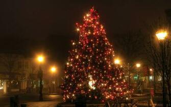 Christmas Tree Lights Wallpaper Fondo HD