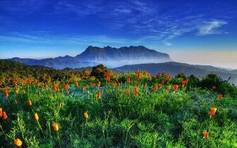 Beautiful Thai Scenery Thailand Has A Long History